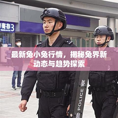 最新兔小兔行情，揭秘兔界新動態(tài)與趨勢探索