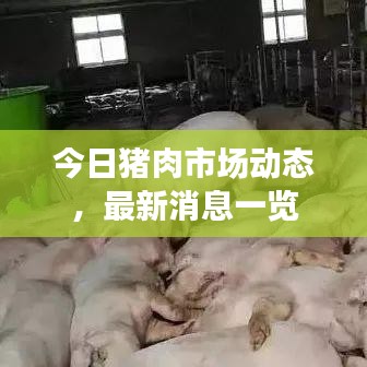 今日豬肉市場(chǎng)動(dòng)態(tài)，最新消息一覽