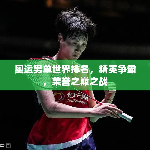 奧運男單世界排名，精英爭霸，榮譽之巔之戰(zhàn)
