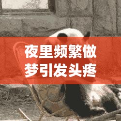 夜里頻繁做夢引發(fā)頭疼,原因及解決方法深度解析