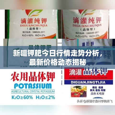 新疆鉀肥今日行情走勢分析，最新價格動態(tài)揭秘