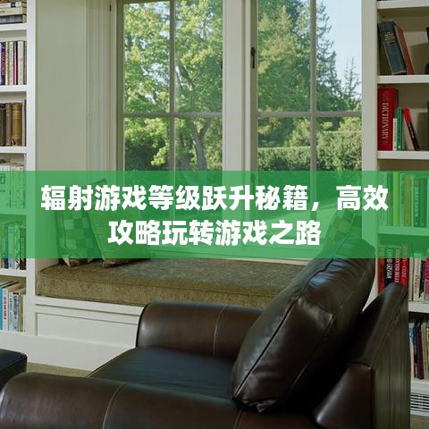 輻射游戲等級(jí)躍升秘籍，高效攻略玩轉(zhuǎn)游戲之路