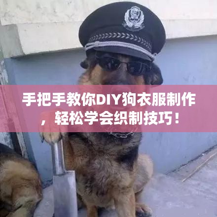 手把手教你DIY狗衣服制作，輕松學(xué)會織制技巧！