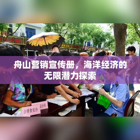 舟山營(yíng)銷宣傳冊(cè)，海洋經(jīng)濟(jì)的無限潛力探索