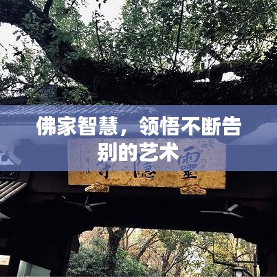 佛家智慧，領悟不斷告別的藝術(shù)