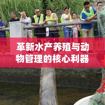 革新水產(chǎn)養(yǎng)殖與動(dòng)物管理的核心利器，新型高效智能地籠