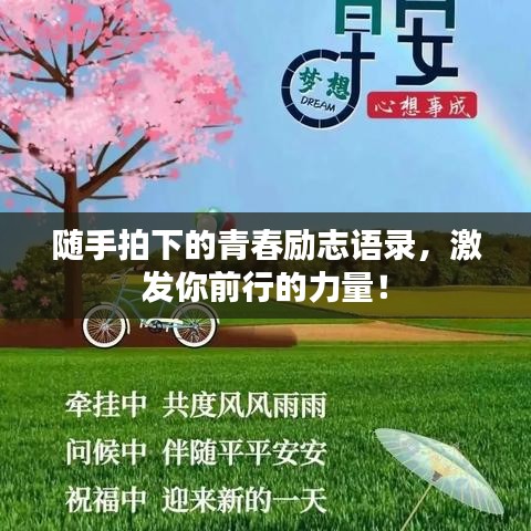 隨手拍下的青春勵(lì)志語錄，激發(fā)你前行的力量！