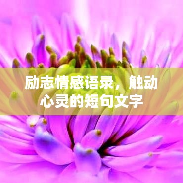 就湯下面 第2頁(yè)