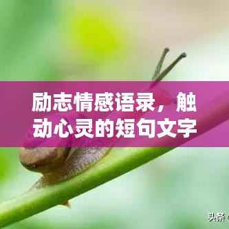 勵志情感語錄,觸動心靈的短句文字