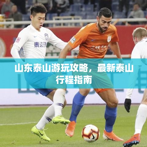 物以稀為貴 第2頁(yè)