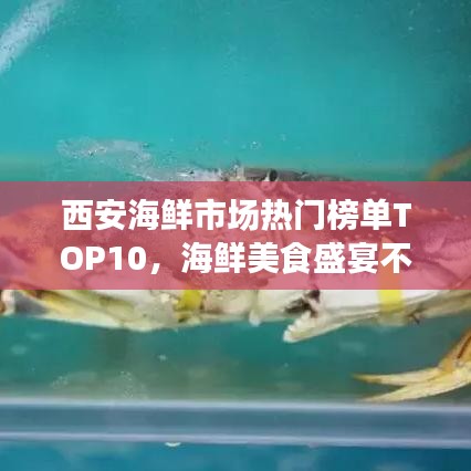 西安海鮮市場熱門榜單TOP10，海鮮美食盛宴不容錯(cuò)過！