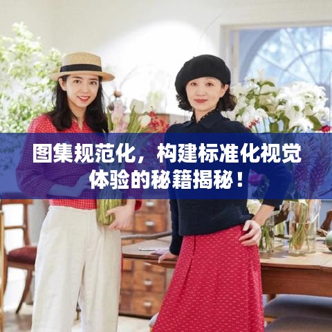 圖集規(guī)范化，構(gòu)建標(biāo)準(zhǔn)化視覺(jué)體驗(yàn)的秘籍揭秘！