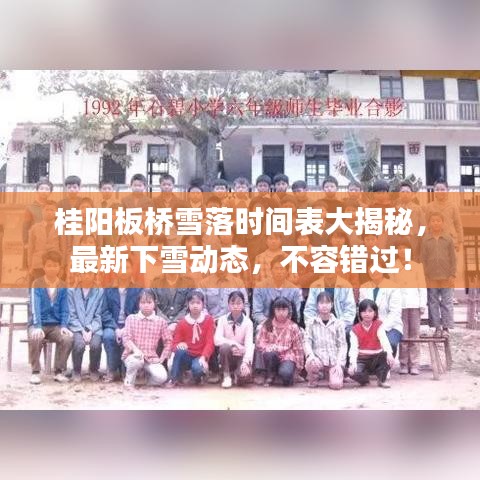 桂陽板橋雪落時(shí)間表大揭秘，最新下雪動態(tài)，不容錯(cuò)過！