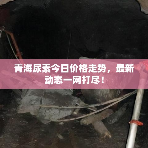 青海尿素今日價(jià)格走勢(shì)，最新動(dòng)態(tài)一網(wǎng)打盡！