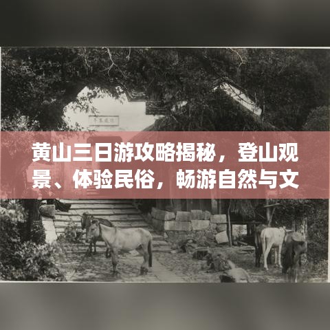 黃山三日游攻略揭秘，登山觀景、體驗民俗，暢游自然與文化的盛宴！