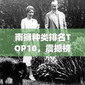 南獅種類排名TOP10，震撼榜單，不容錯(cuò)過！
