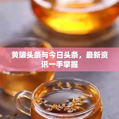 黃陂頭條與今日頭條，最新資訊一手掌握
