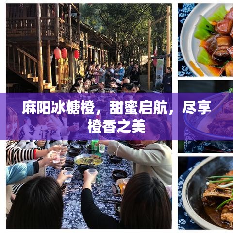 麻陽冰糖橙，甜蜜啟航，盡享橙香之美