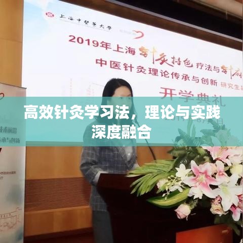 高效針灸學(xué)習(xí)法，理論與實踐深度融合