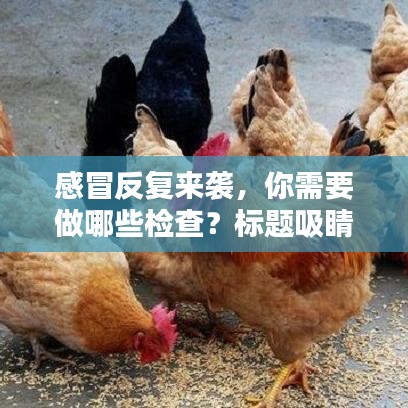 感冒反復(fù)來襲，你需要做哪些檢查？標題吸睛，百度收錄標準
