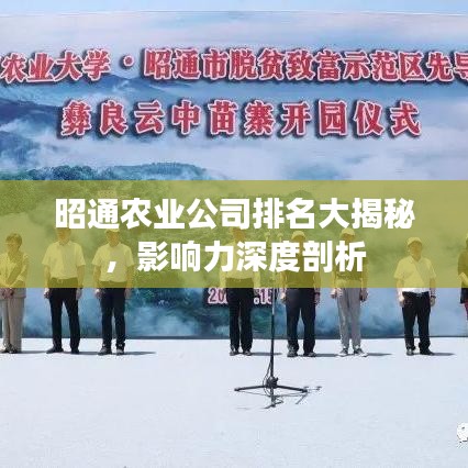 昭通農(nóng)業(yè)公司排名大揭秘，影響力深度剖析