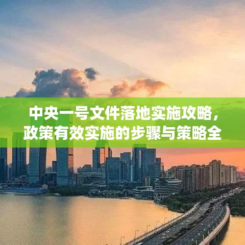 中央一號(hào)文件落地實(shí)施攻略，政策有效實(shí)施的步驟與策略全解析