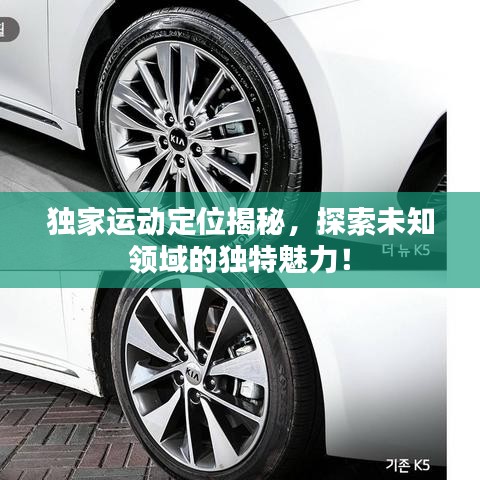 獨(dú)家運(yùn)動(dòng)定位揭秘，探索未知領(lǐng)域的獨(dú)特魅力！