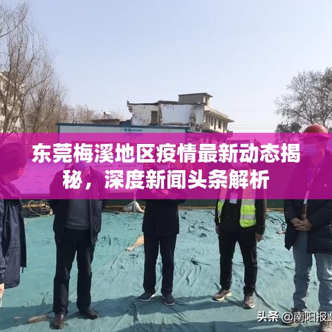 東莞梅溪地區(qū)疫情最新動(dòng)態(tài)揭秘，深度新聞?lì)^條解析