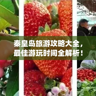 秦皇島旅游攻略大全，最佳游玩時間全解析！