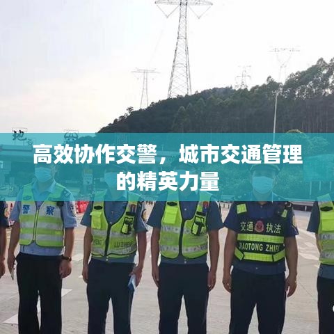 高效協(xié)作交警，城市交通管理的精英力量