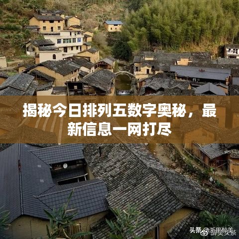 揭秘今日排列五數(shù)字奧秘，最新信息一網(wǎng)打盡