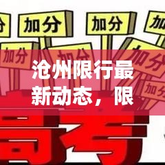 滄州限行最新動態(tài)，限行號查詢指南及政策解析