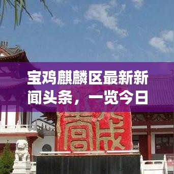 寶雞麒麟?yún)^(qū)最新新聞頭條，一覽今日熱點(diǎn)事件