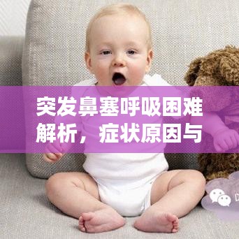 突發(fā)鼻塞呼吸困難解析，癥狀原因與應(yīng)對(duì)方法