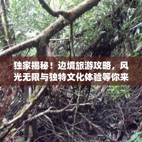 獨(dú)家揭秘！邊境旅游攻略，風(fēng)光無限與獨(dú)特文化體驗(yàn)等你來探秘！