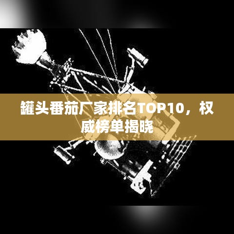 罐頭番茄廠家排名TOP10，權(quán)威榜單揭曉