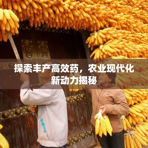 探索豐產(chǎn)高效藥，農(nóng)業(yè)現(xiàn)代化新動(dòng)力揭秘