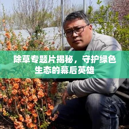 除草專題片揭秘，守護(hù)綠色生態(tài)的幕后英雄