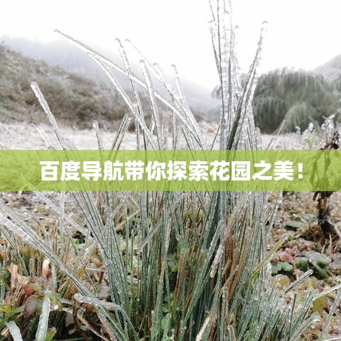 百度導(dǎo)航帶你探索花園之美！