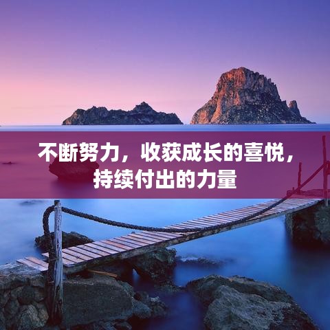 不斷努力，收獲成長的喜悅，持續(xù)付出的力量