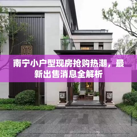 南寧小戶型現房搶購熱潮，最新出售消息全解析