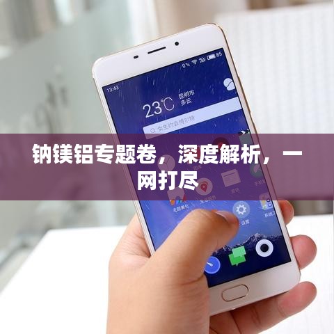 鈉鎂鋁專(zhuān)題卷，深度解析，一網(wǎng)打盡