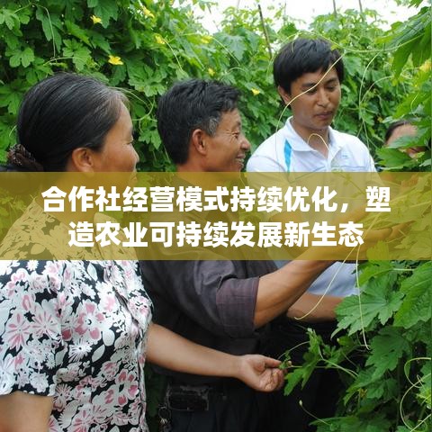 合作社經(jīng)營(yíng)模式持續(xù)優(yōu)化，塑造農(nóng)業(yè)可持續(xù)發(fā)展新生態(tài)