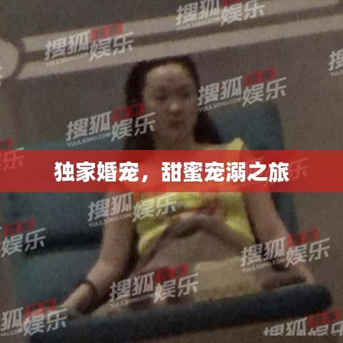 獨家婚寵，甜蜜寵溺之旅