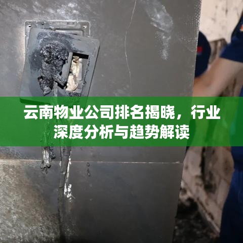 云南物業(yè)公司排名揭曉，行業(yè)深度分析與趨勢解讀