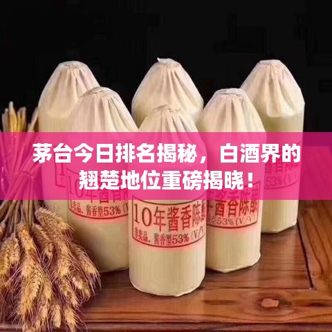茅臺(tái)今日排名揭秘，白酒界的翹楚地位重磅揭曉！
