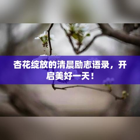 杏花綻放的清晨勵志語錄，開啟美好一天！