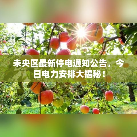 未央區最新停電通知公告,今日電力安排大揭秘!