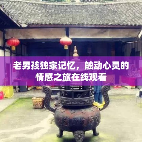 老男孩獨(dú)家記憶，觸動(dòng)心靈的情感之旅在線觀看