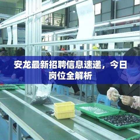安龍最新招聘信息速遞，今日崗位全解析